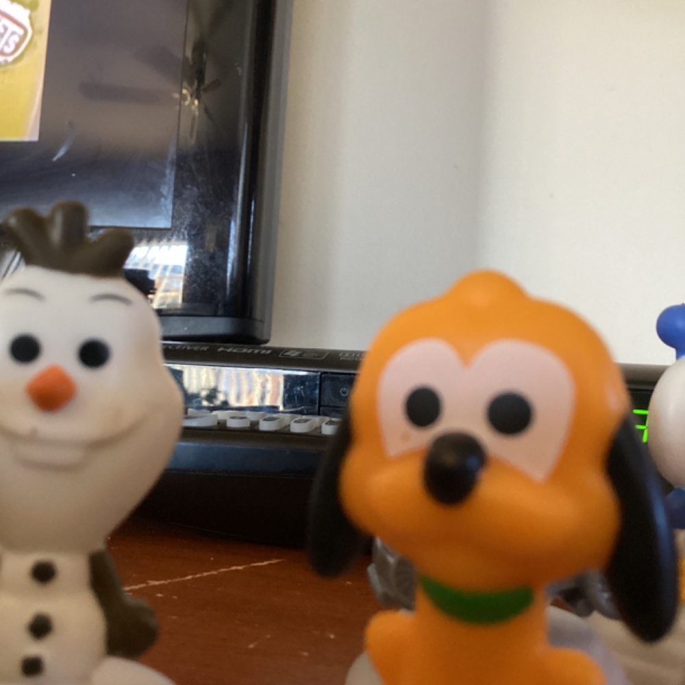 Animals - Picture 5 of 5